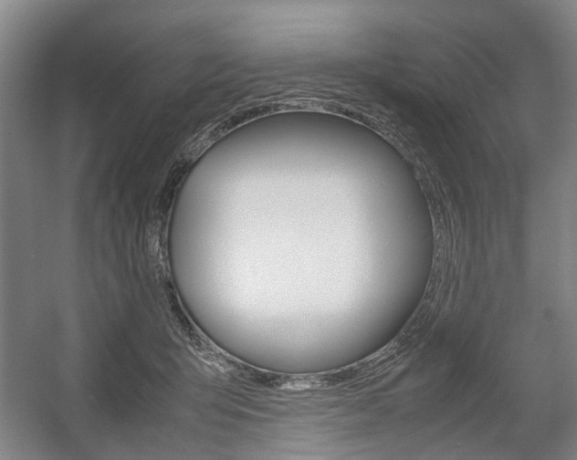 X0000057560415200509160815