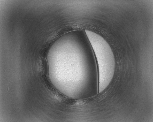 X0000057560416200509160815