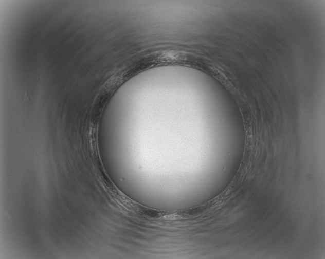 X0000057560423200509160815