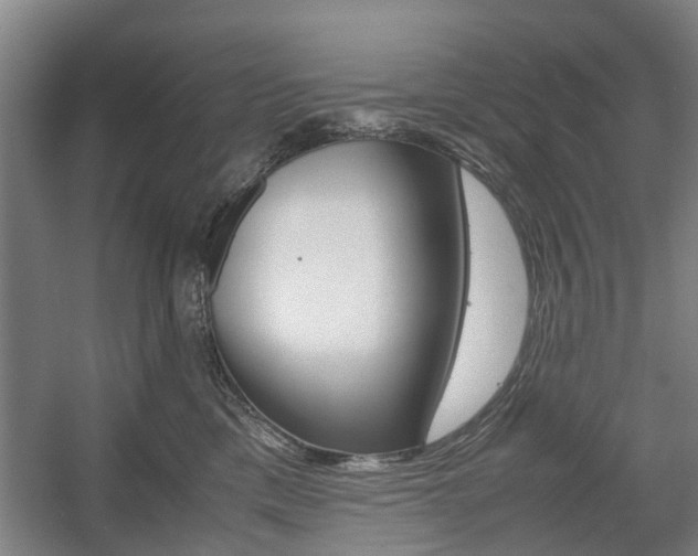 X0000057560425200509160815