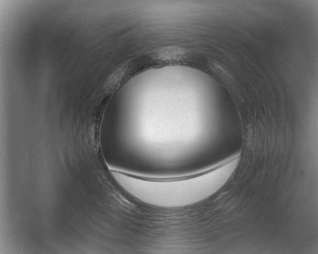 X0000057560428200509160815