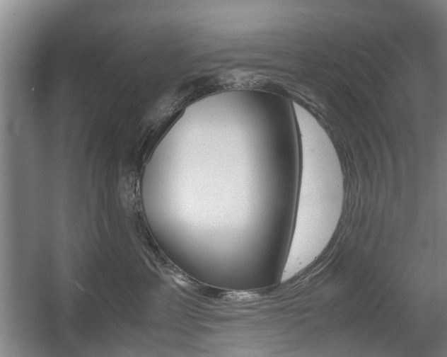 X0000057560429200509160815