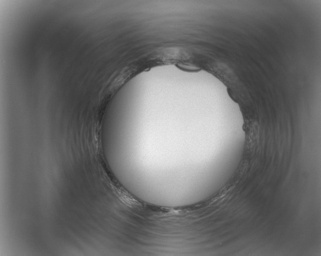 X0000057560430200509160815