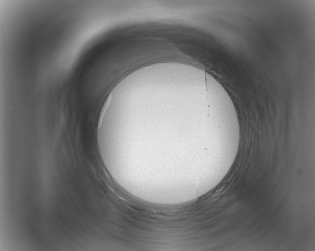 X0000057560431200509160815
