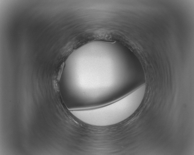X0000057560432200509160815