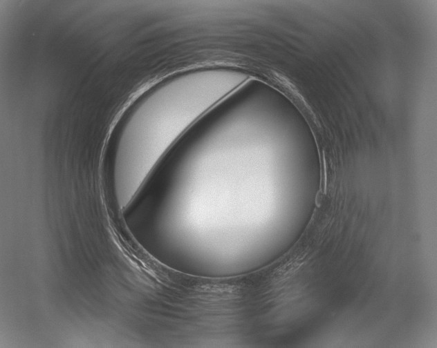 X0000057560435200509160814