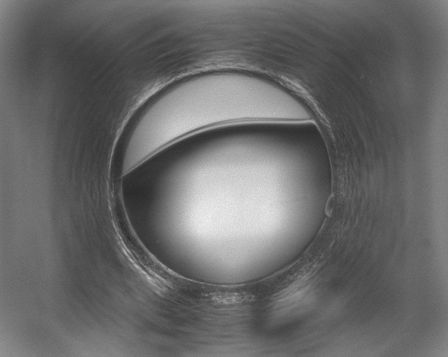 X0000057560439200509160814