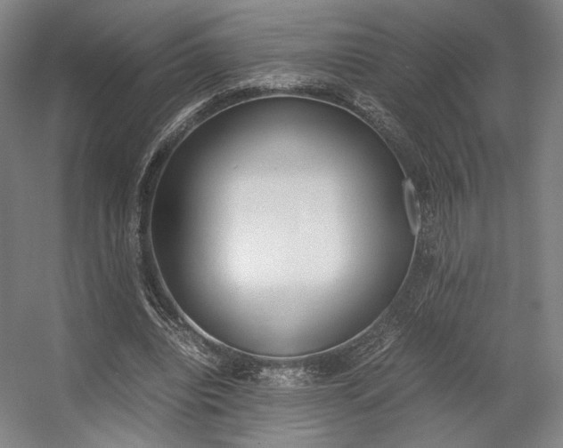 X0000057560440200509160814