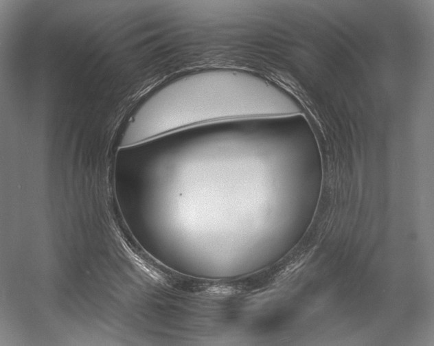X0000057560441200509160814