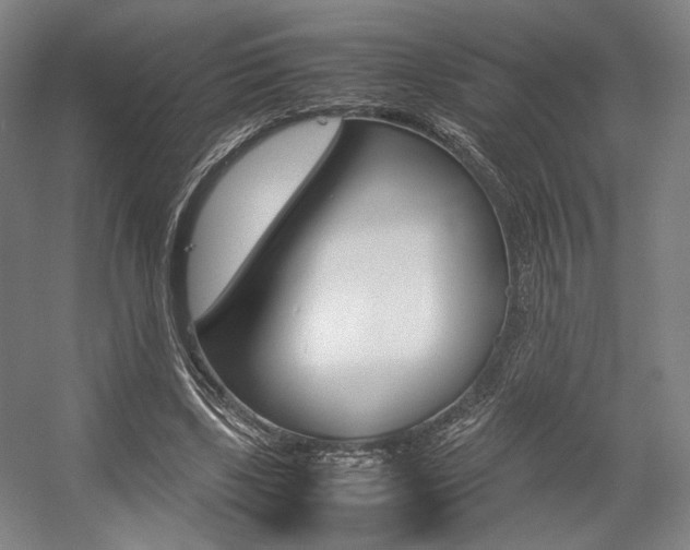 X0000057560443200509160814