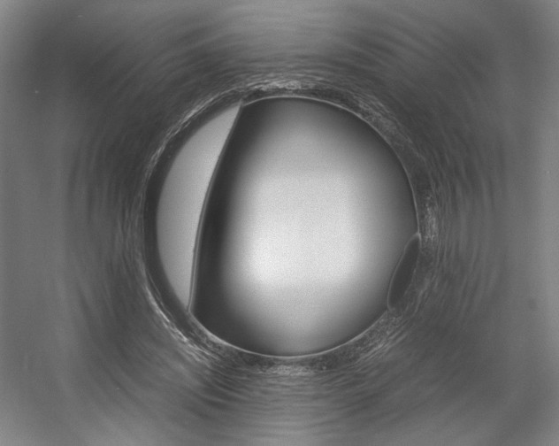X0000057560444200509160814