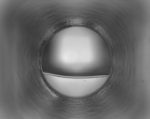 X0000057560449200509160814