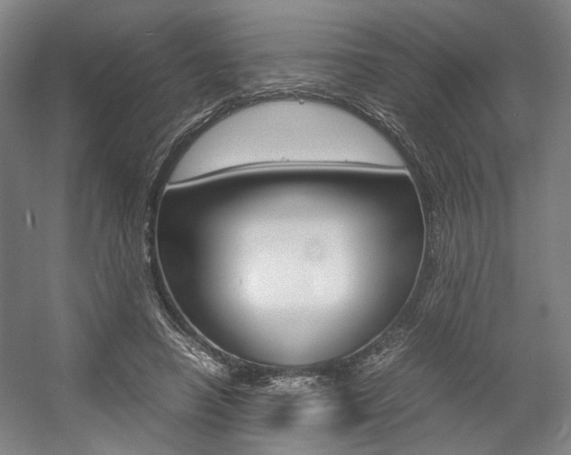 X0000057560450200509160814