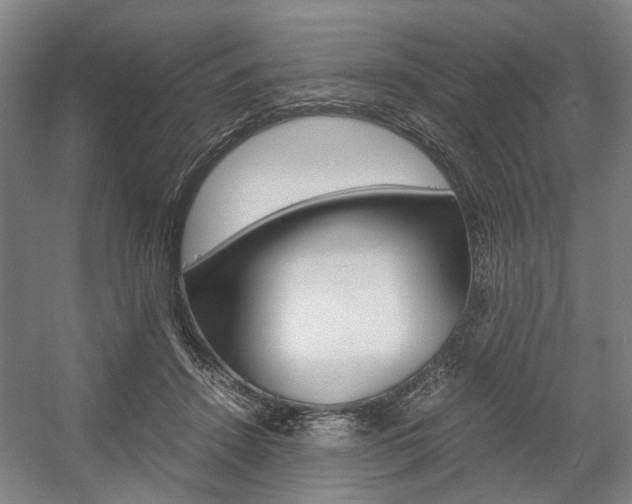 X0000057560456200509160815