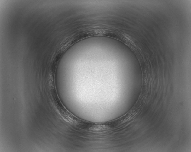 X0000057560459200509160815