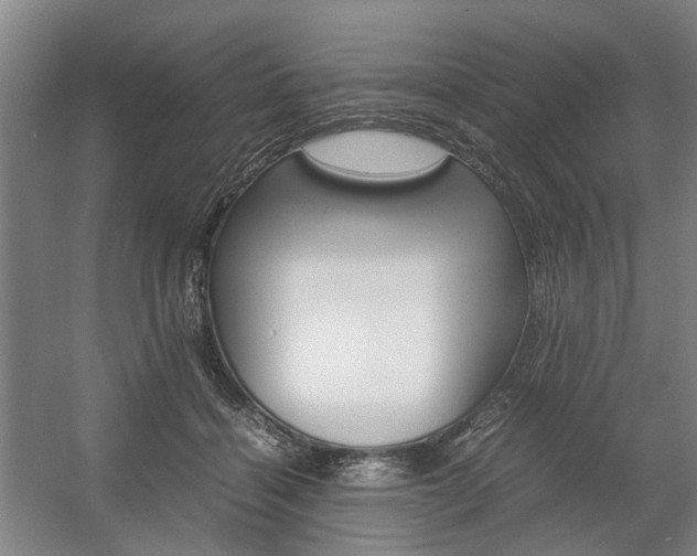 X0000057560460200509160815