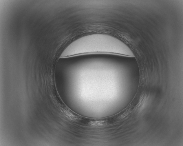 X0000057560461200509160815