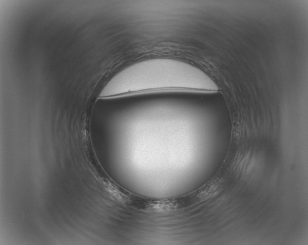 X0000057560466200509160815