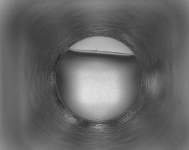 X0000057560467200509160815