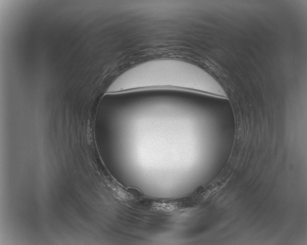 X0000057560469200509160815