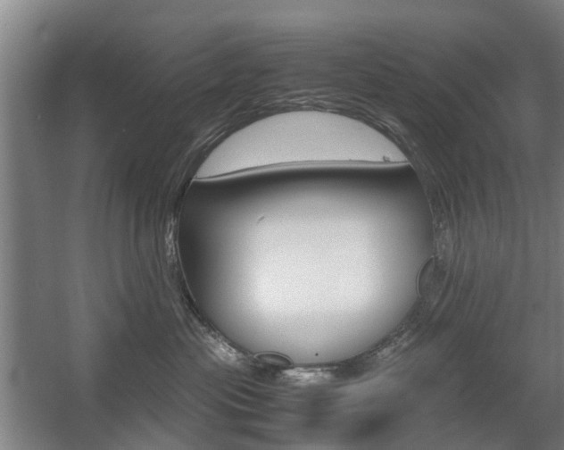 X0000057560477200509160815