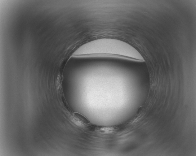 X0000057560478200509160815