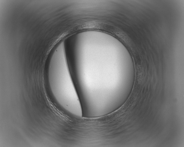 X0000057560482200509160814
