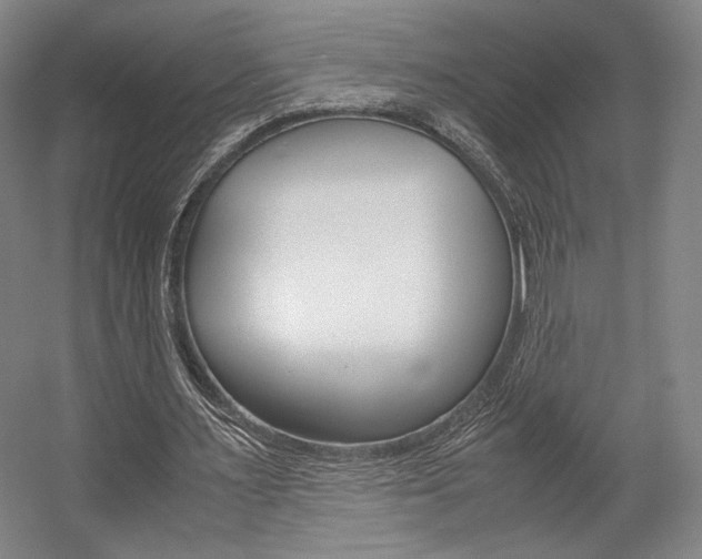 X0000057560483200509160814