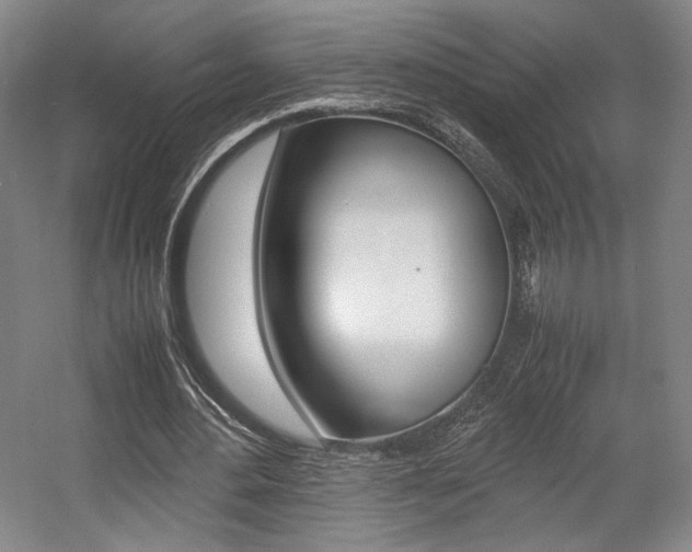 X0000057560484200509160814