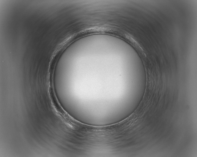 X0000057560486200509160814