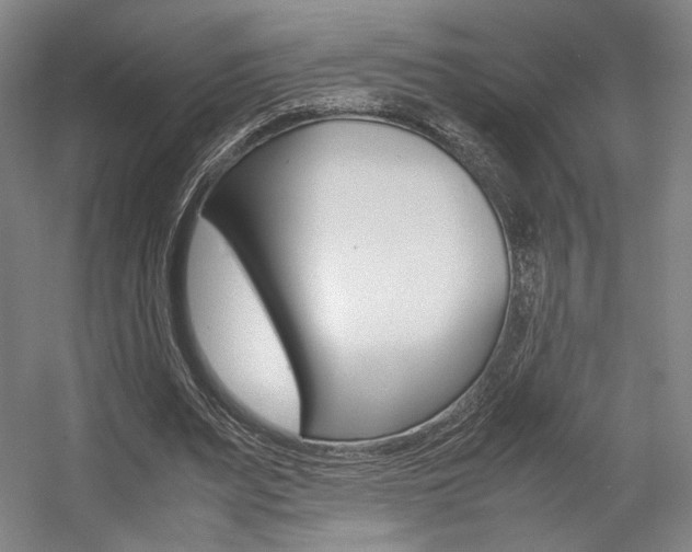 X0000057560487200509160814