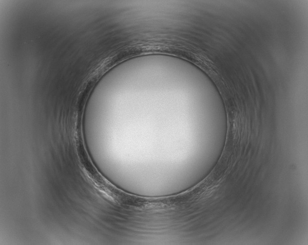 X0000057560490200509160814