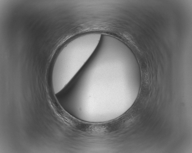 X0000057560491200509160814