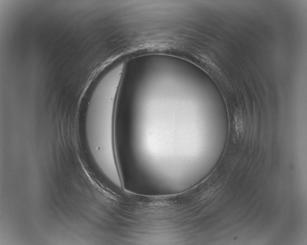 X0000057560492200509160814