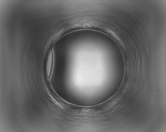 X0000057560493200509160814