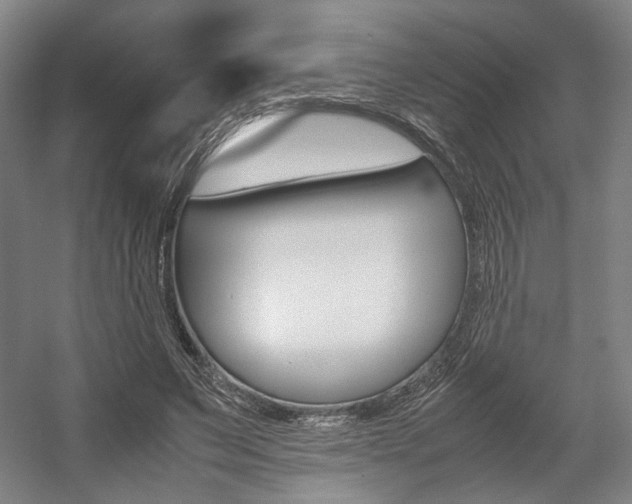 X0000057560495200509160814
