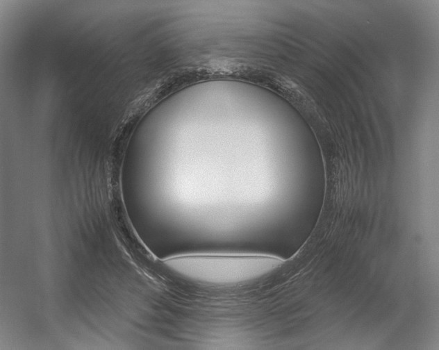 X0000057560496200509160814