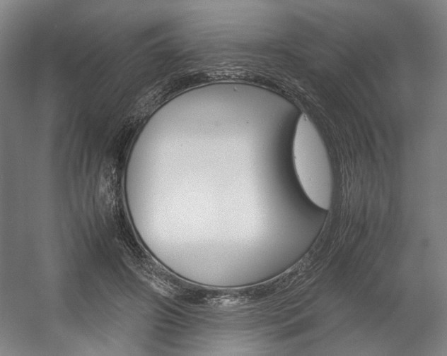 X0000057560498200509160814