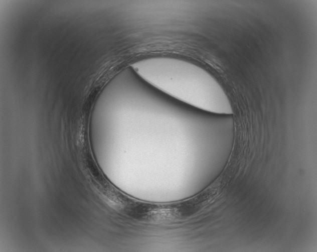 X0000057560499200509160814