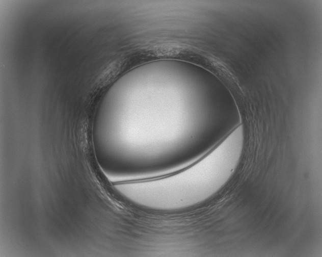 X0000057560501200509160814