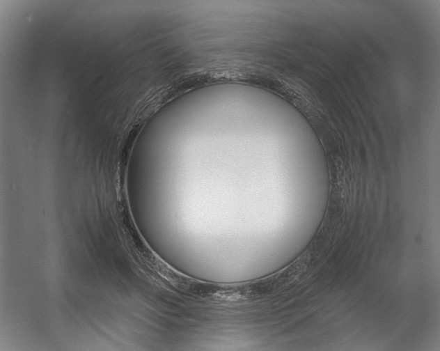 X0000057560502200509160814