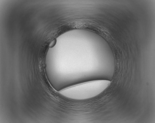 X0000057560503200509160814