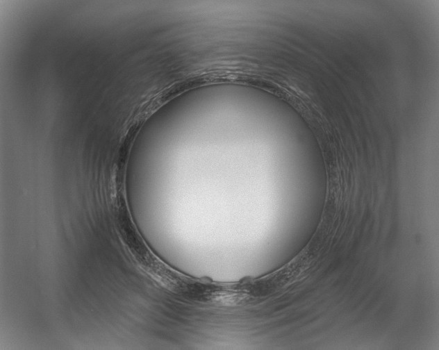 X0000057560504200509160814