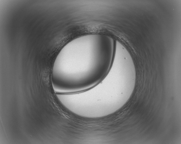 X0000057560505200509160814