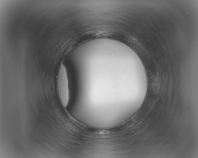 X0000057560506200509160814