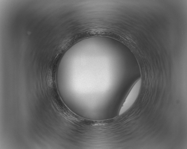 X0000057560508200509160814