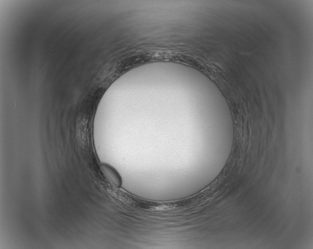 X0000057560511200509160814