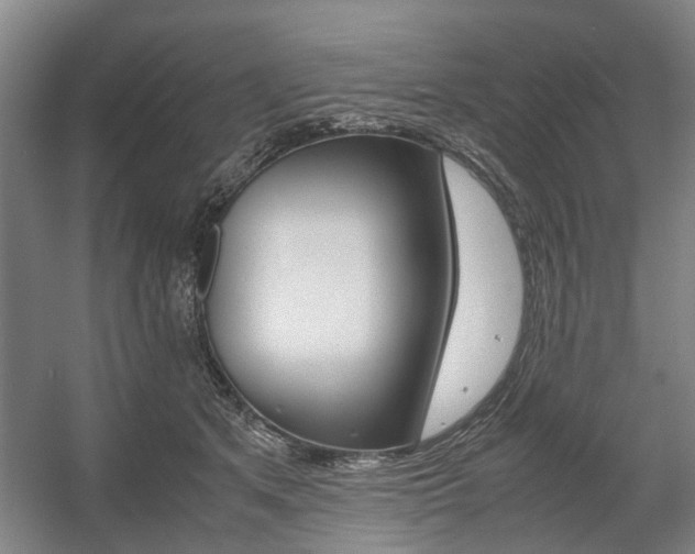 X0000057560513200509160814