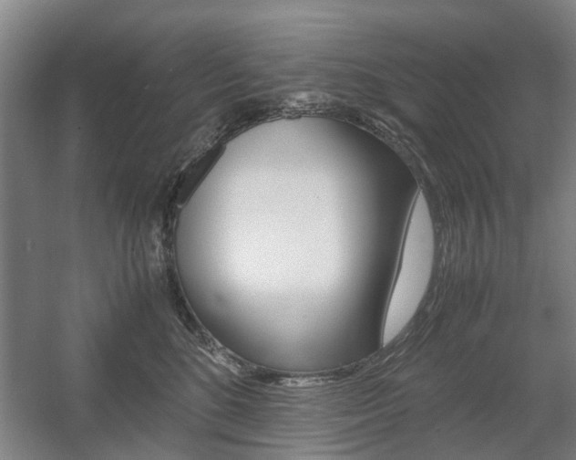 X0000057560520200509160814