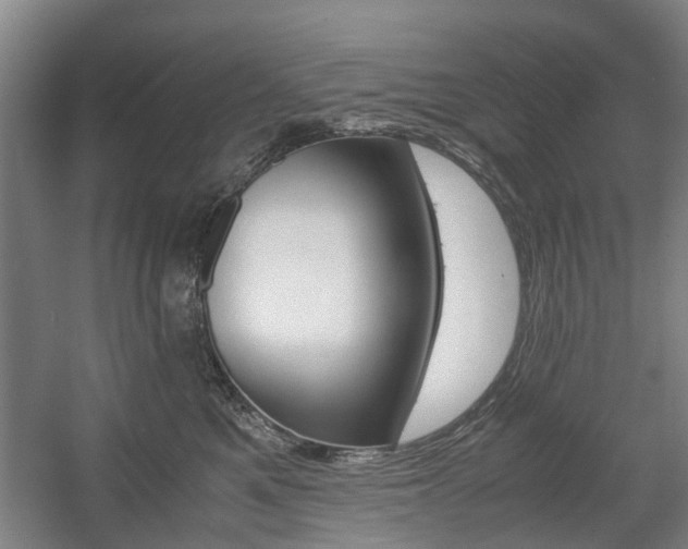 X0000057560521200509160813